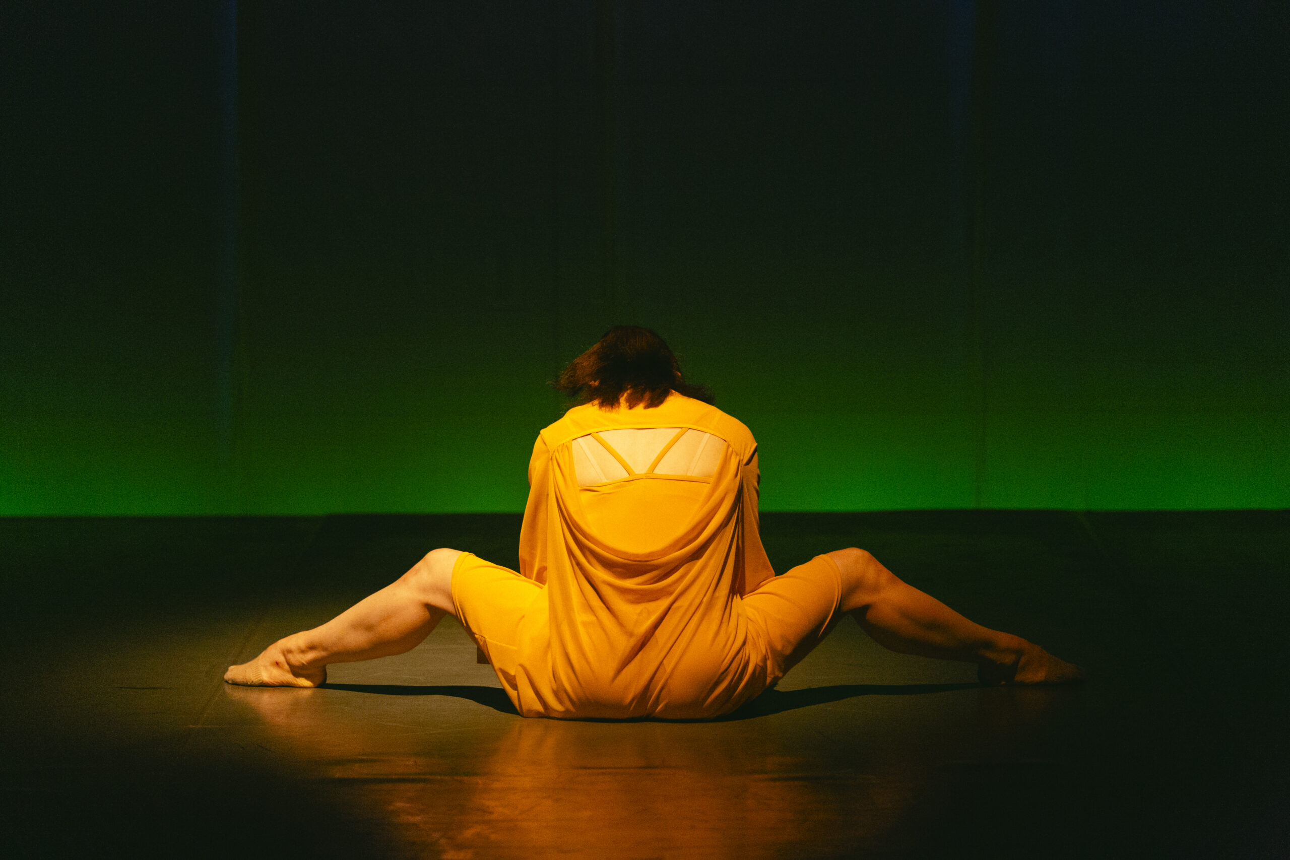Canary の作品写真 1