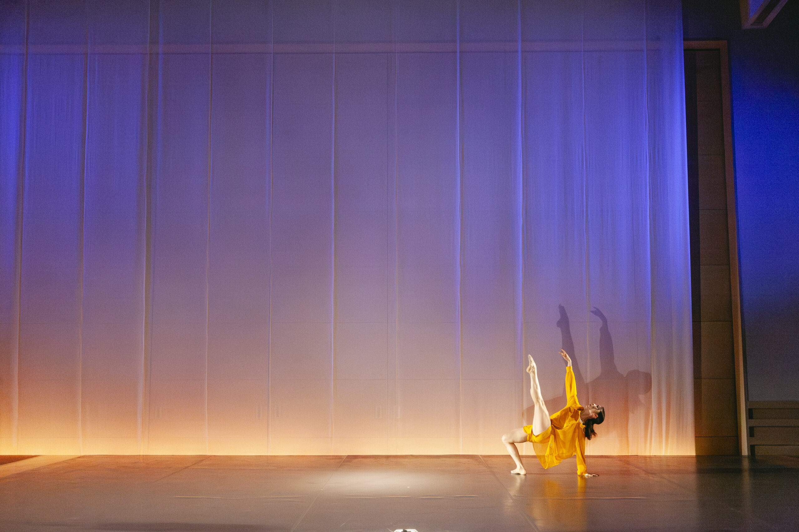 Canary の作品写真 5