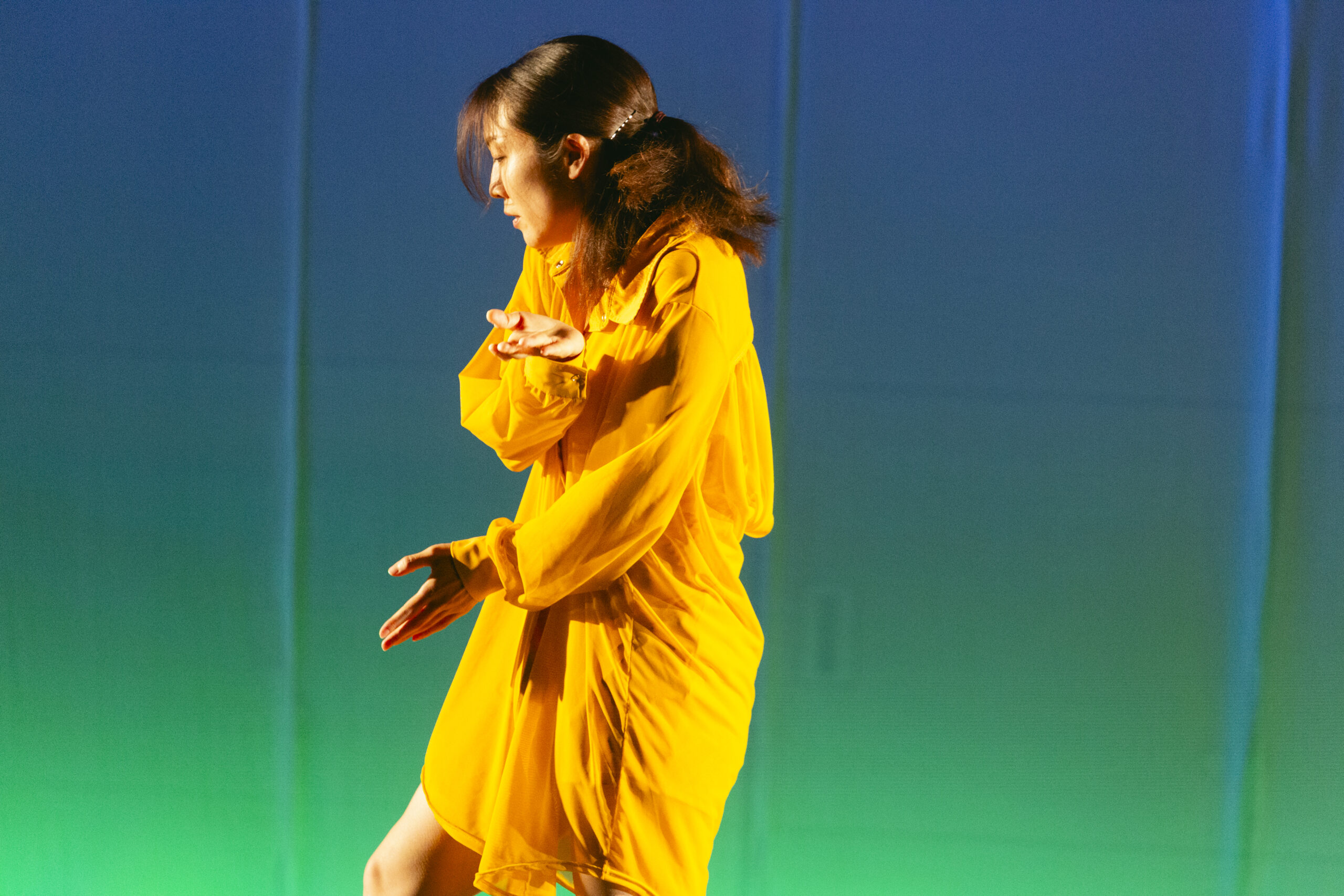 Canary の作品写真 7